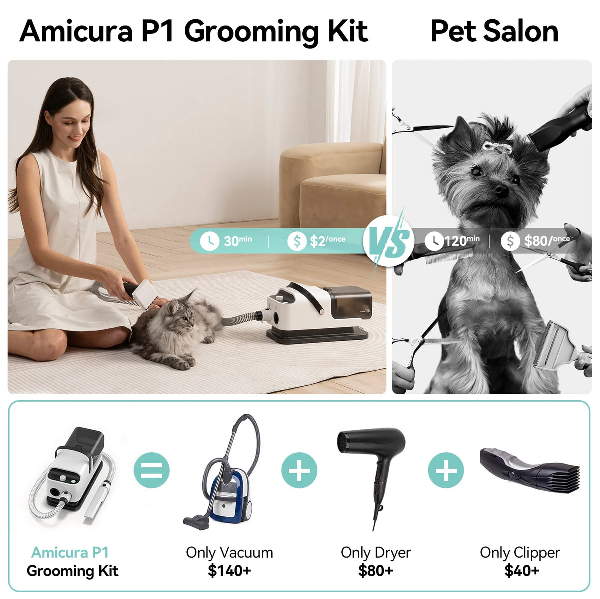 P1 Vacuum Cleaner and Hair Dryer for Pet Grooming Kit