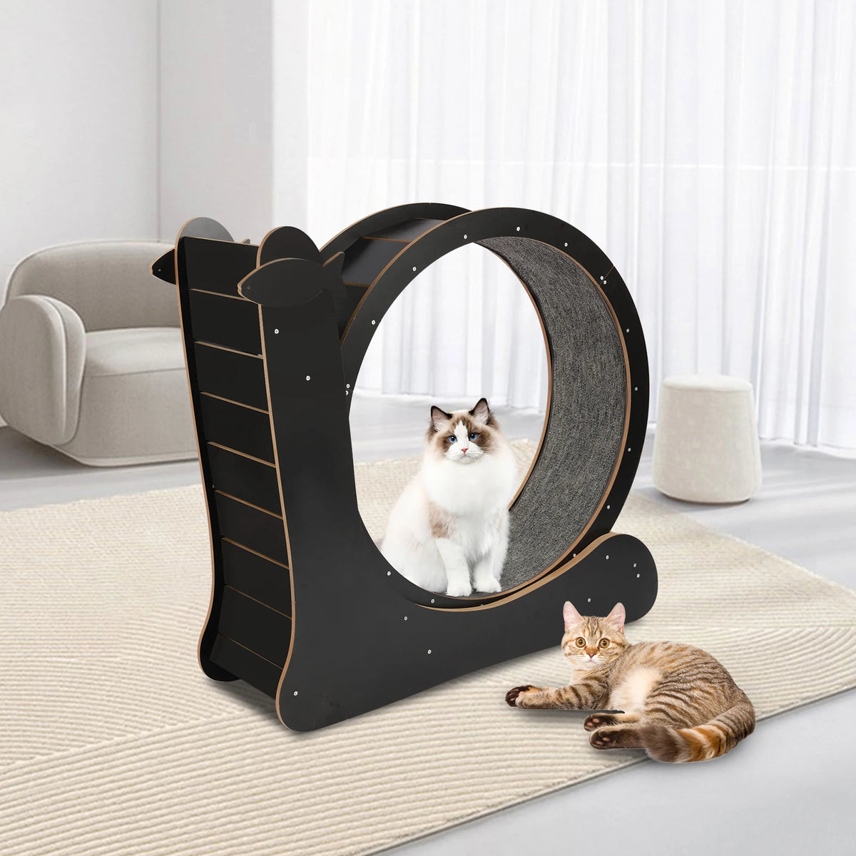 Cat Exercise Wheel Treadmill for Fitness and Weight Loss