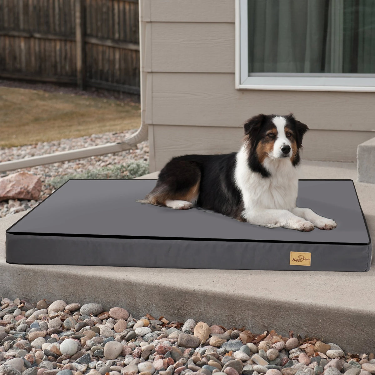 BINGOPAW Orthopedic Washable Dog Bed With Foam Cushion