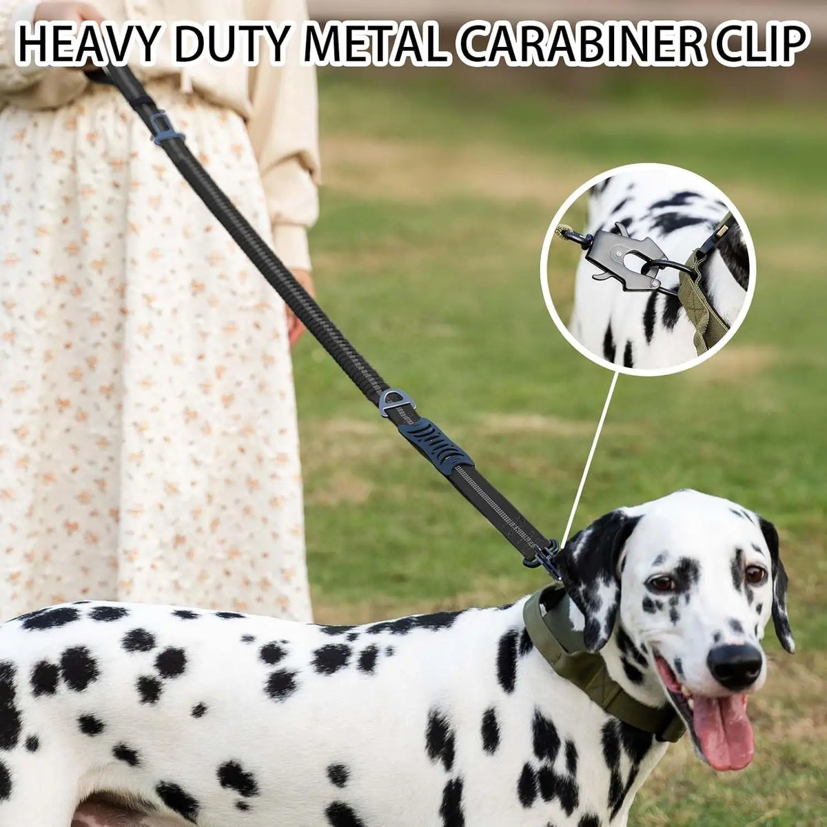 Reflective Shock Absorbing Pet Leash With Car Seatbelt No Pull