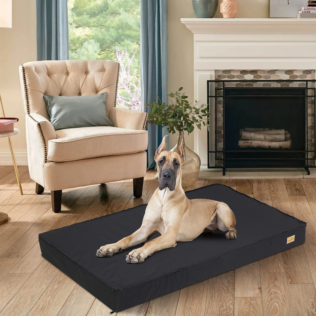 BINGOPAW Orthopedic Washable Dog Bed With Foam Cushion