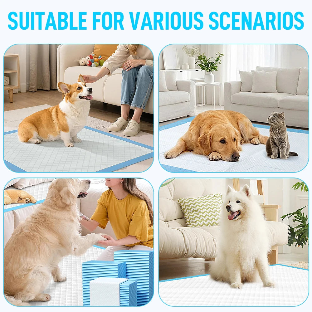 Super Absorbent Pet Training Pads Leak Proof Quick Drying Pack