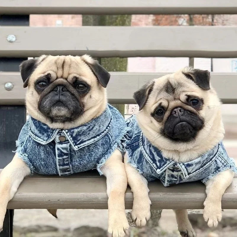YOUDUDU Denim Jacket For Dogs Pet Jeans Coat With Holes