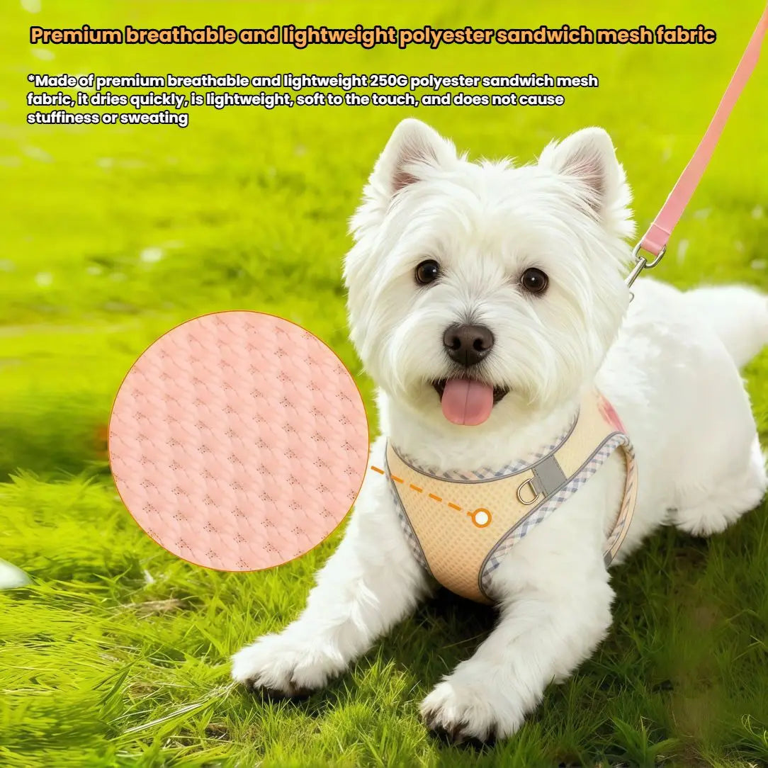 Reflective Adjustable Dog Harness And Leash Set For Outdoor Walking