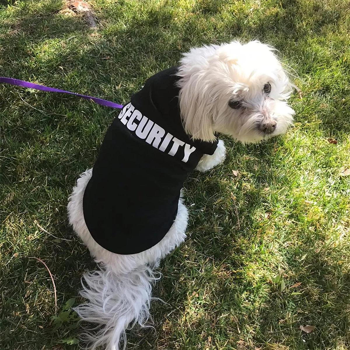 Summer Dog Vest Clothes For Small Dogs Chihuahua Yorkie T Shirt Costume
