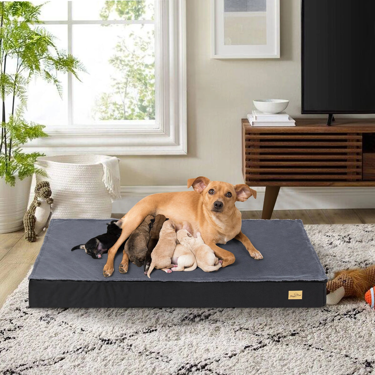 BINGOPAW Orthopedic Washable Dog Bed With Foam Cushion