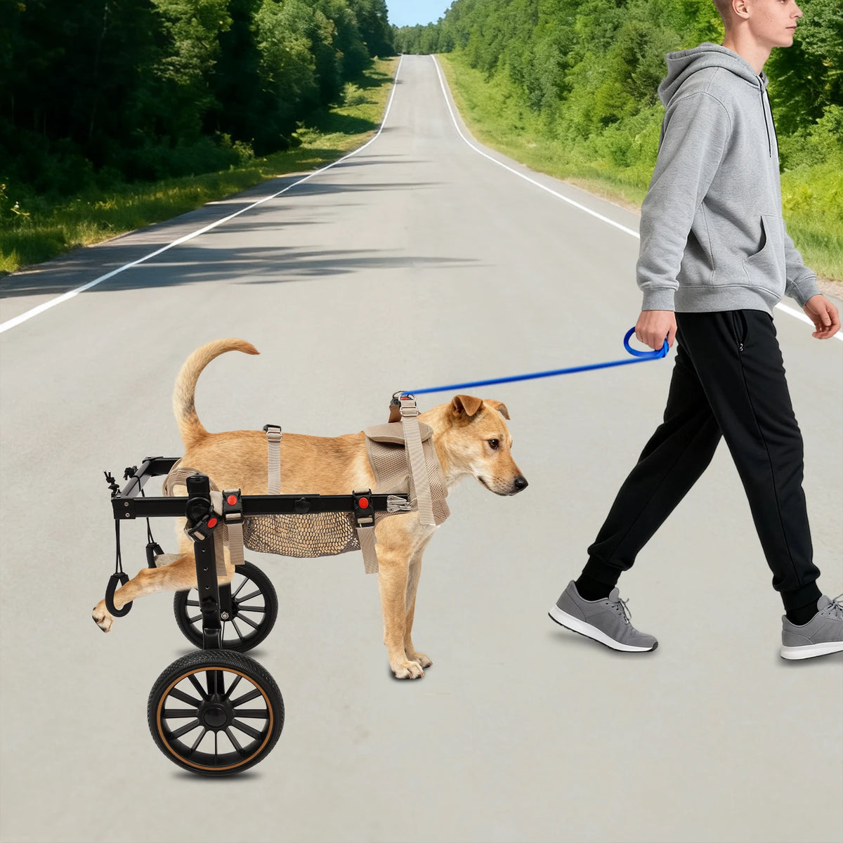 Bymaocar Pet Walking Aid And Rehabilitation Wheelchair For Dogs 65kg
