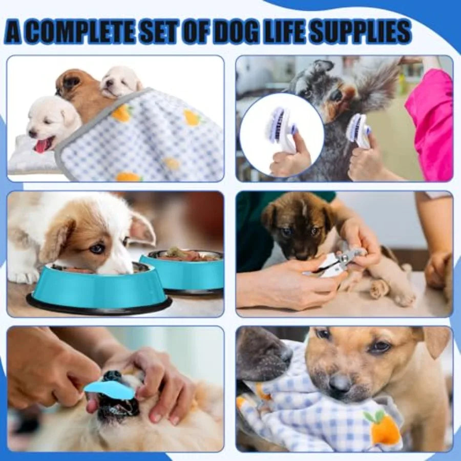 YAO HUI HUANG Puppy Essentials Starter Kit For Small Dogs