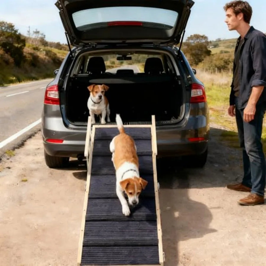Foldable Dog Ramp For High Bed With Safety Rails Pad