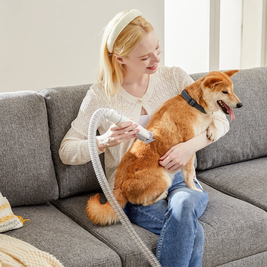 Pet Grooming Vacuum Kit Cordless Low Noise Clippers