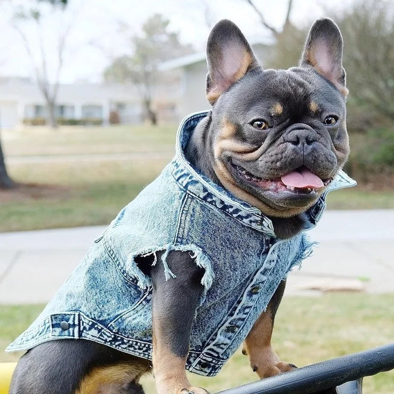 YOUDUDU Denim Jacket For Dogs Pet Jeans Coat With Holes