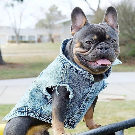 YOUDUDU Denim Jacket For Dogs Pet Jeans Coat With Holes