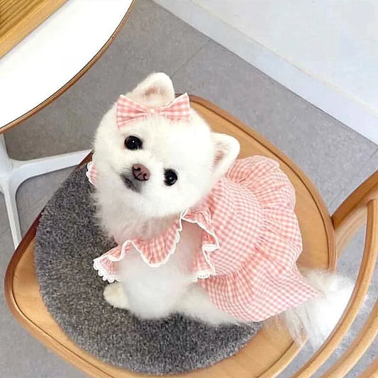 Pet Dog Dress Plaid Lace Summer Outfit For Cats And Dogs