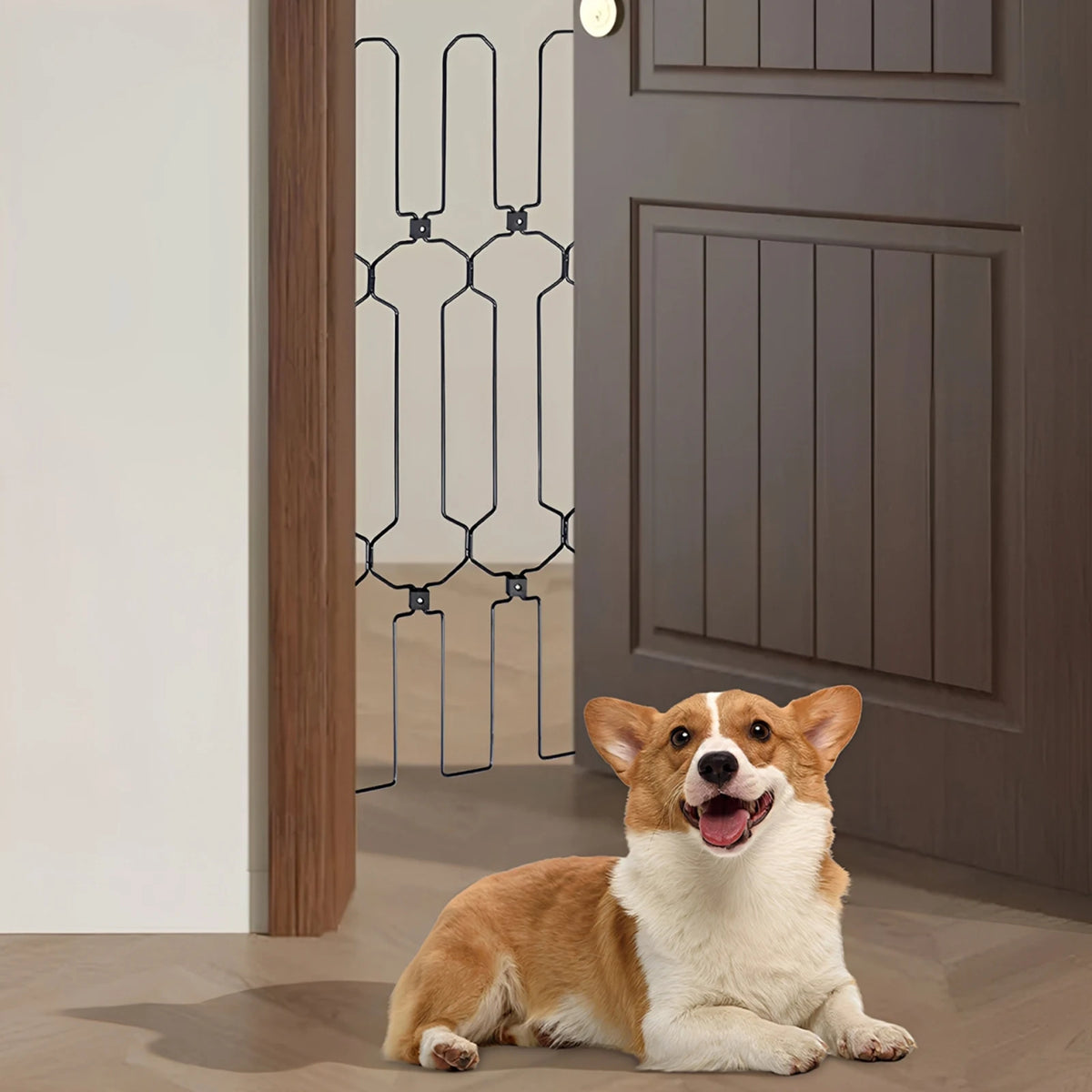 Bymaocar Metal Retractable Pet Fence Gate For Doors