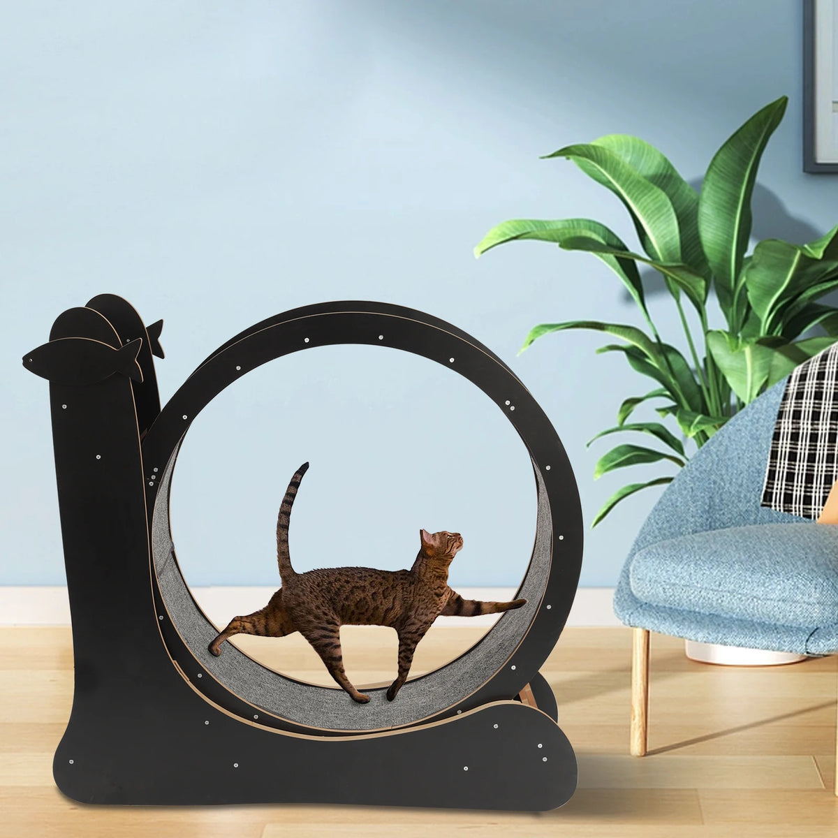 Cat Exercise Wheel Treadmill for Fitness and Weight Loss