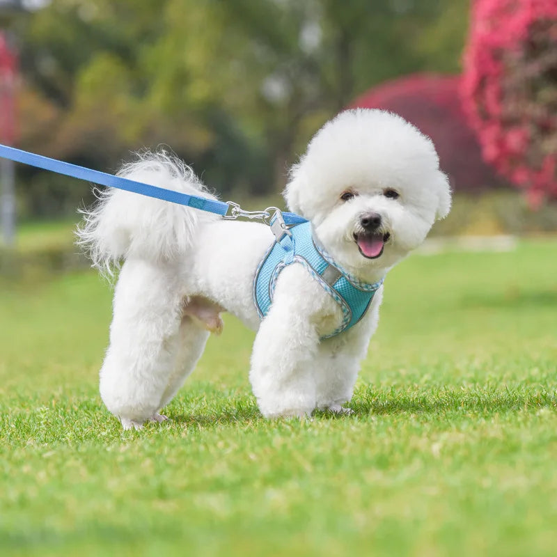 Reflective Adjustable Dog Harness And Leash Set For Outdoor Walking