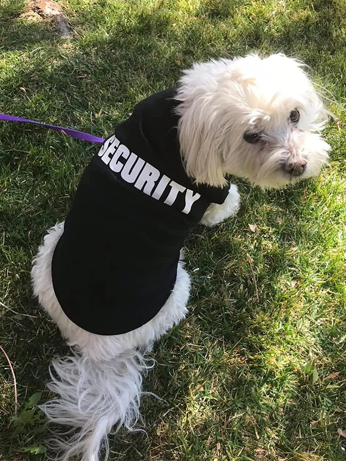 Summer Dog Vest Clothes For Small Dogs Chihuahua Yorkie T Shirt Costume