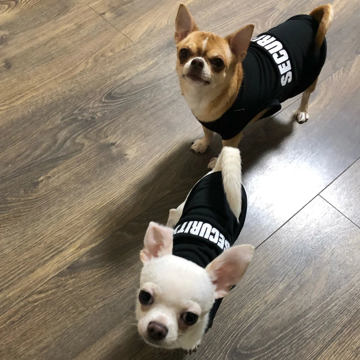 Summer Dog Vest Clothes For Small Dogs Chihuahua Yorkie T Shirt Costume
