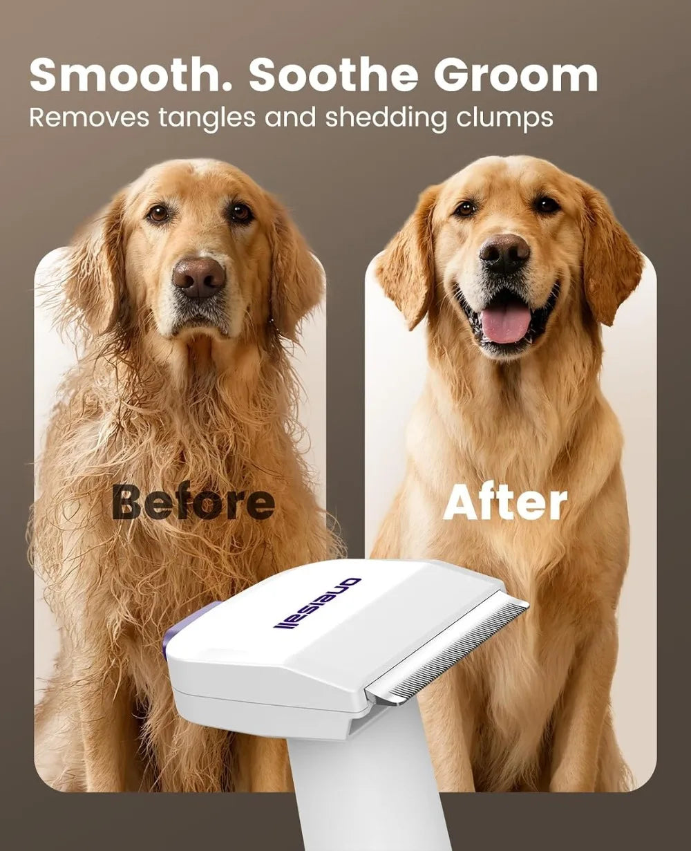 Pet Hair Vacuum Grooming Kit 15000Pa Suction Low Noise Dust Cup For Home