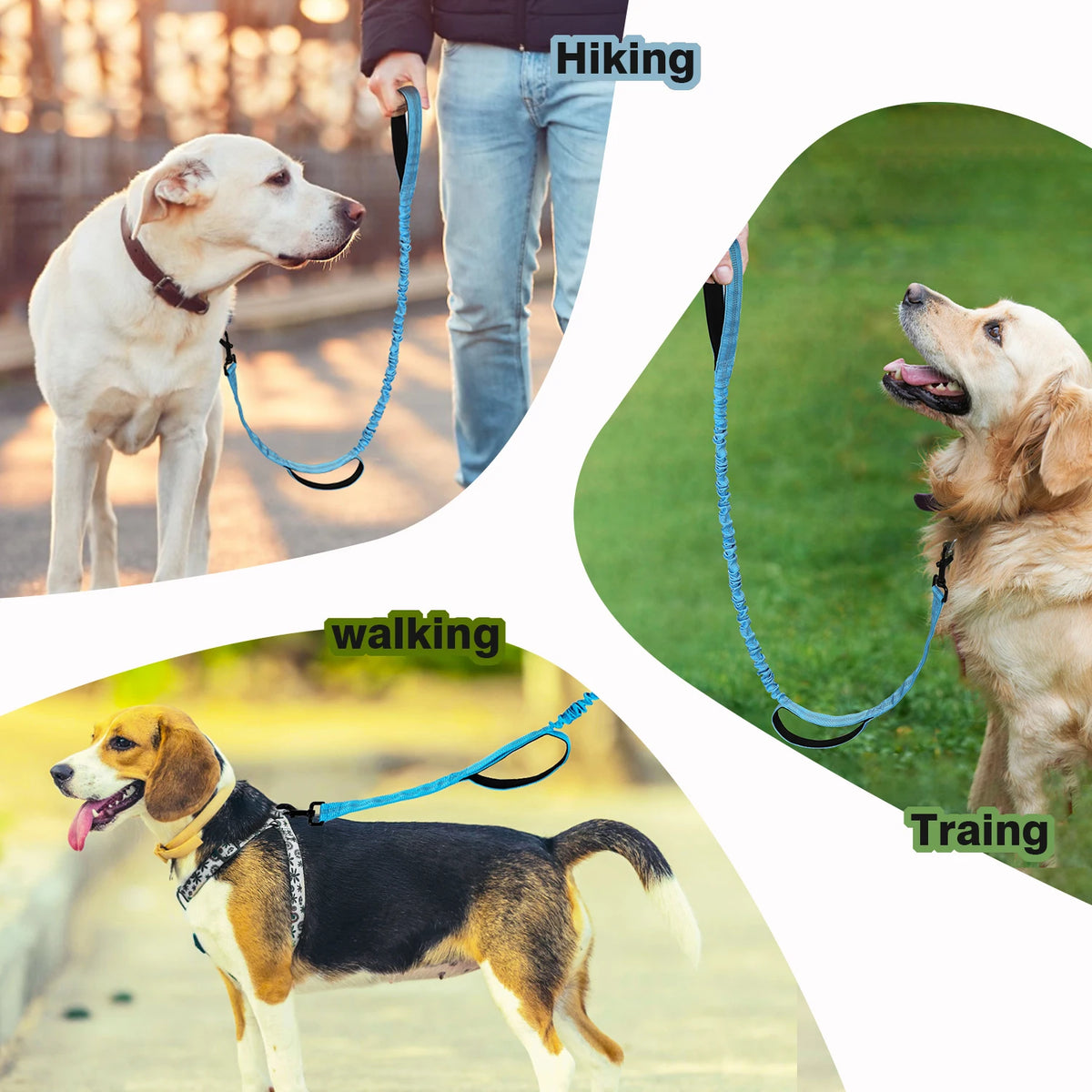 Heavy Duty Bungee Dog Leash With Shock Absorption Padded Handles