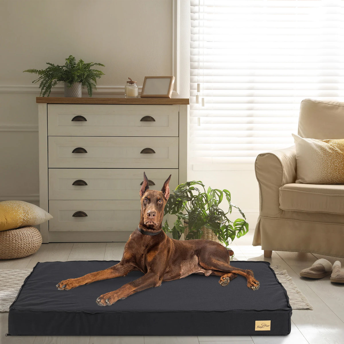 BINGOPAW Orthopedic Washable Dog Bed With Foam Cushion