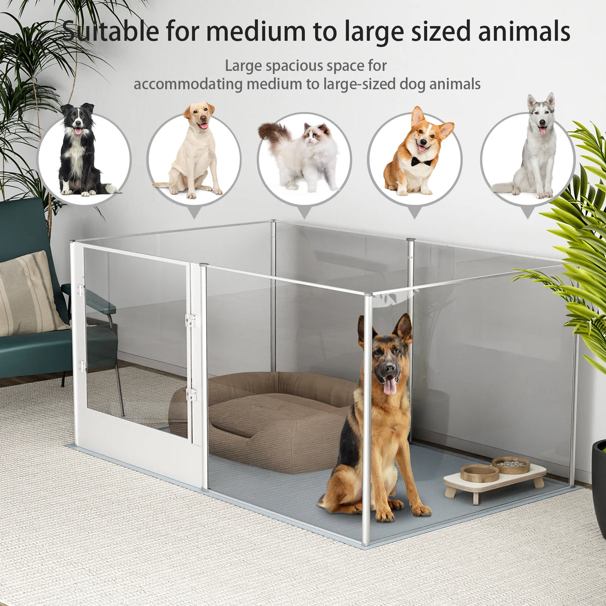 BINGOPAW Acrylic Dog Playpen Fence for Indoor Kennels