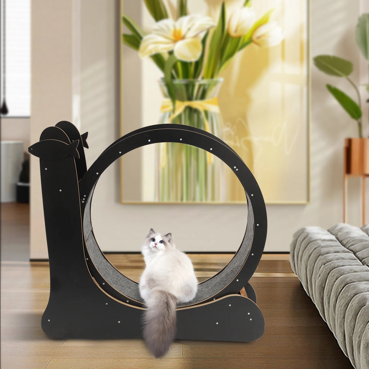 Cat Exercise Wheel Treadmill for Fitness and Weight Loss