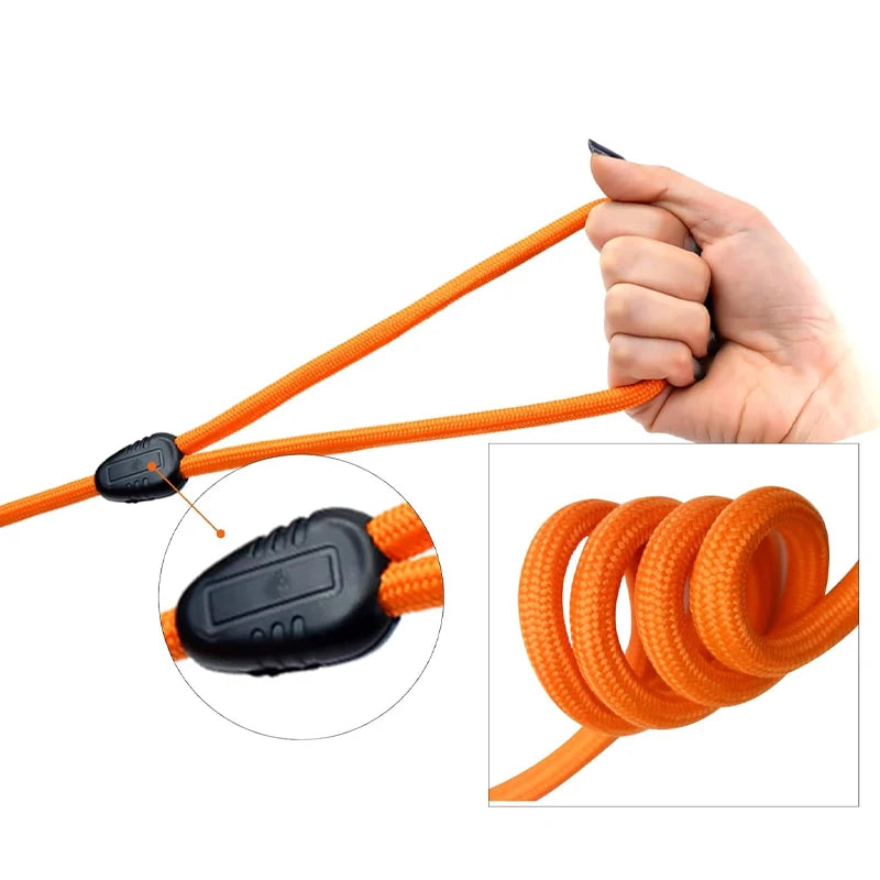 Heavy Duty Nylon Dog Leash For Training And Recall