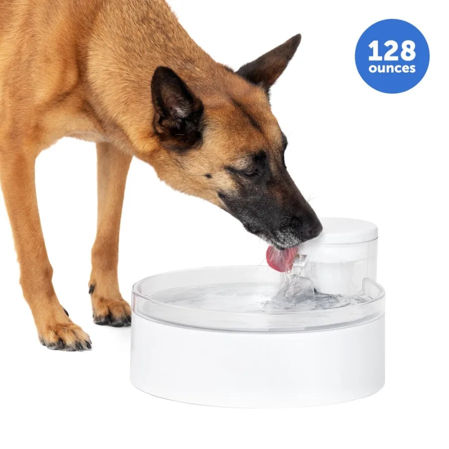 Pumpless 128 Oz Dog Water Fountain Dishwasher Safe Easy Assembly