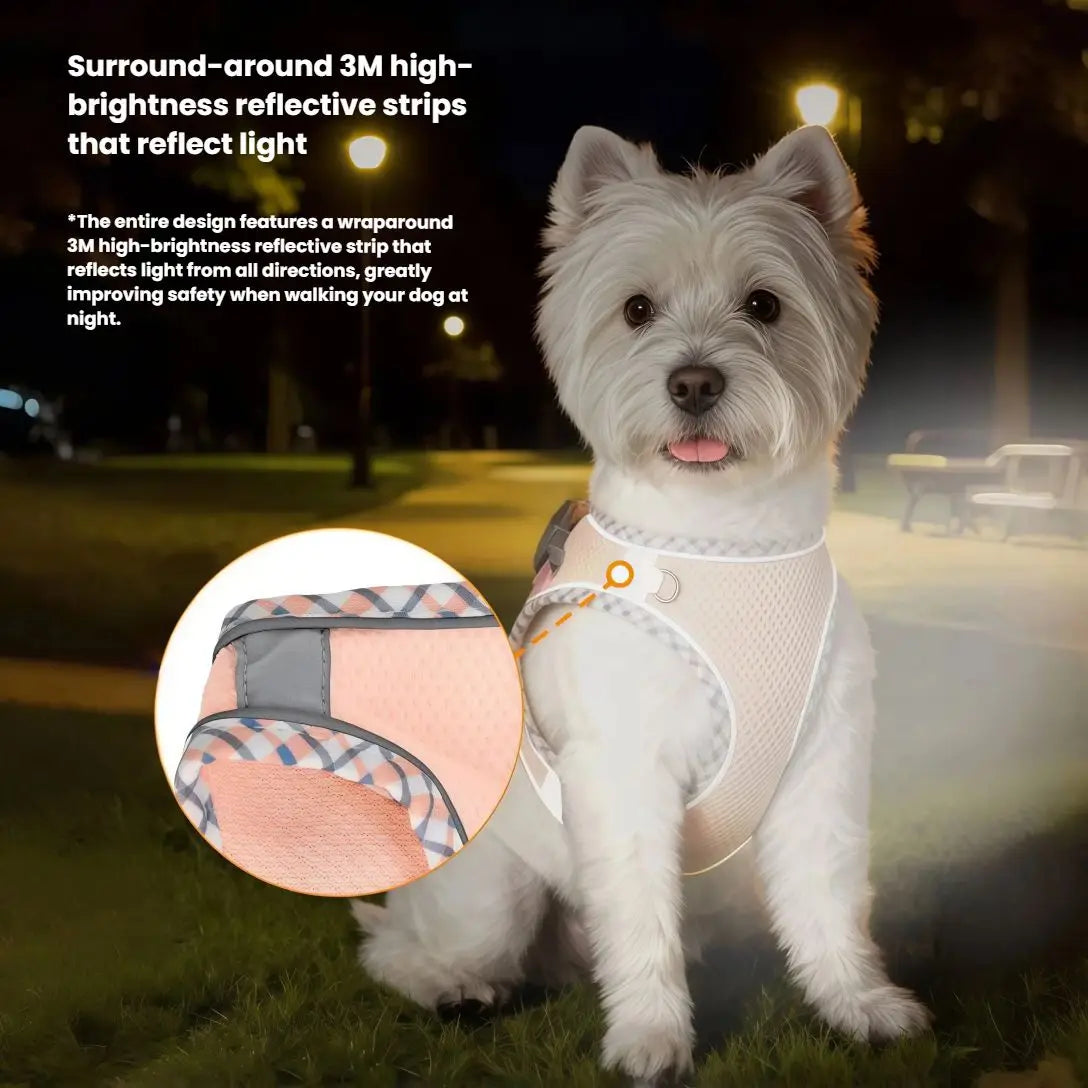 Reflective Adjustable Dog Harness And Leash Set For Outdoor Walking