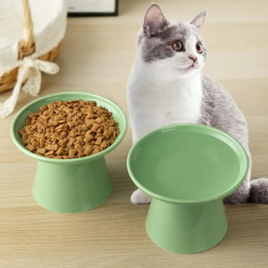 Raised Ceramic Cat Bowls Set For Pets Food And Water