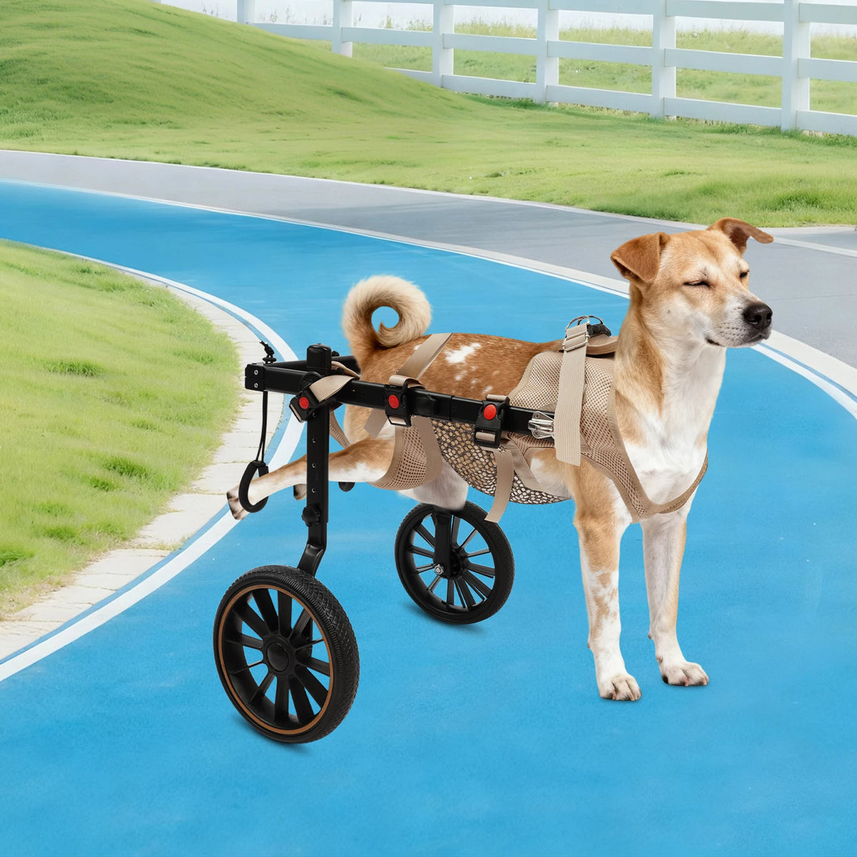 Bymaocar Pet Walking Aid And Rehabilitation Wheelchair For Dogs 65kg