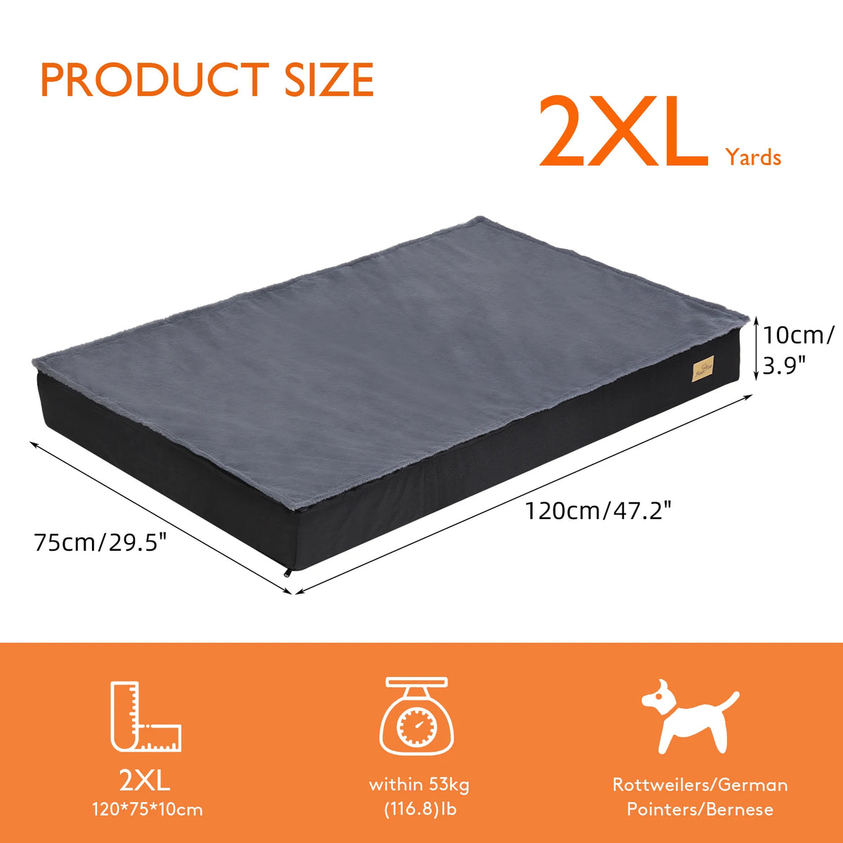 BINGOPAW Orthopedic Washable Dog Bed With Foam Cushion