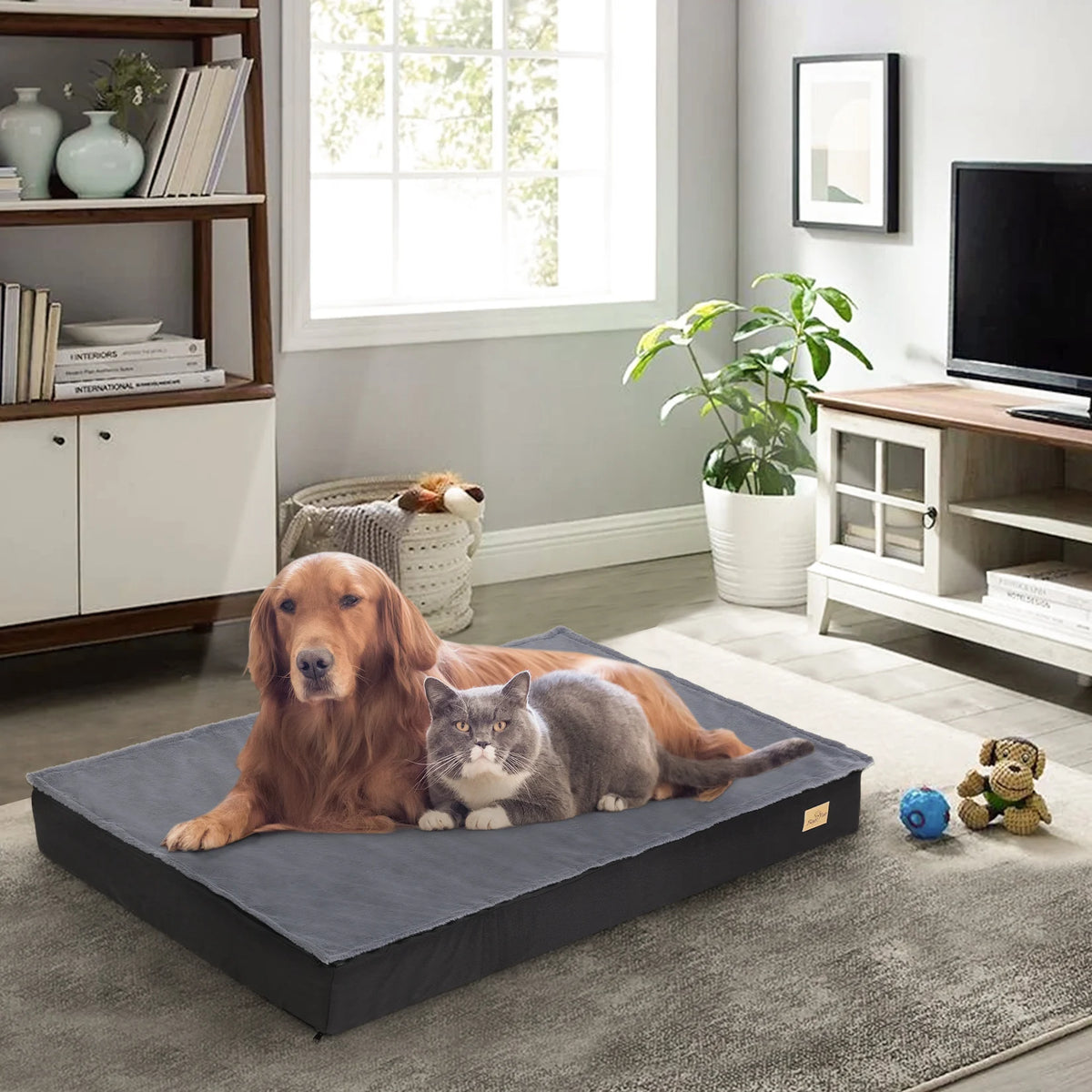 BINGOPAW Orthopedic Washable Dog Bed With Foam Cushion