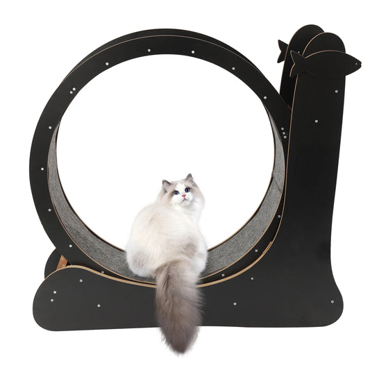 Cat Exercise Wheel Treadmill for Fitness and Weight Loss