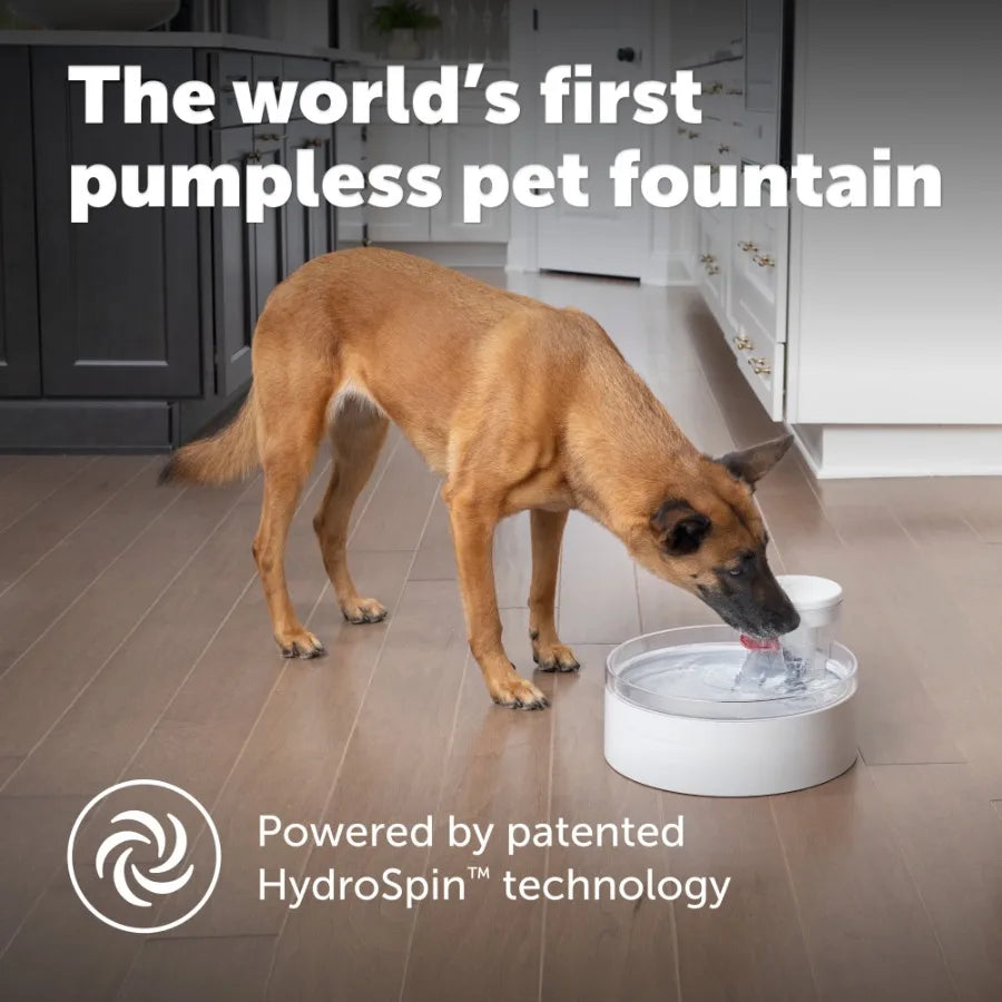 Pumpless 128 Oz Dog Water Fountain Dishwasher Safe Easy Assembly