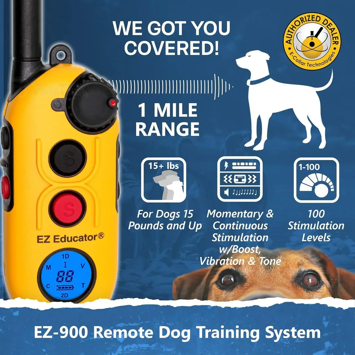 Ez 900 E Collar For Dog Training Remote Tone Vibration