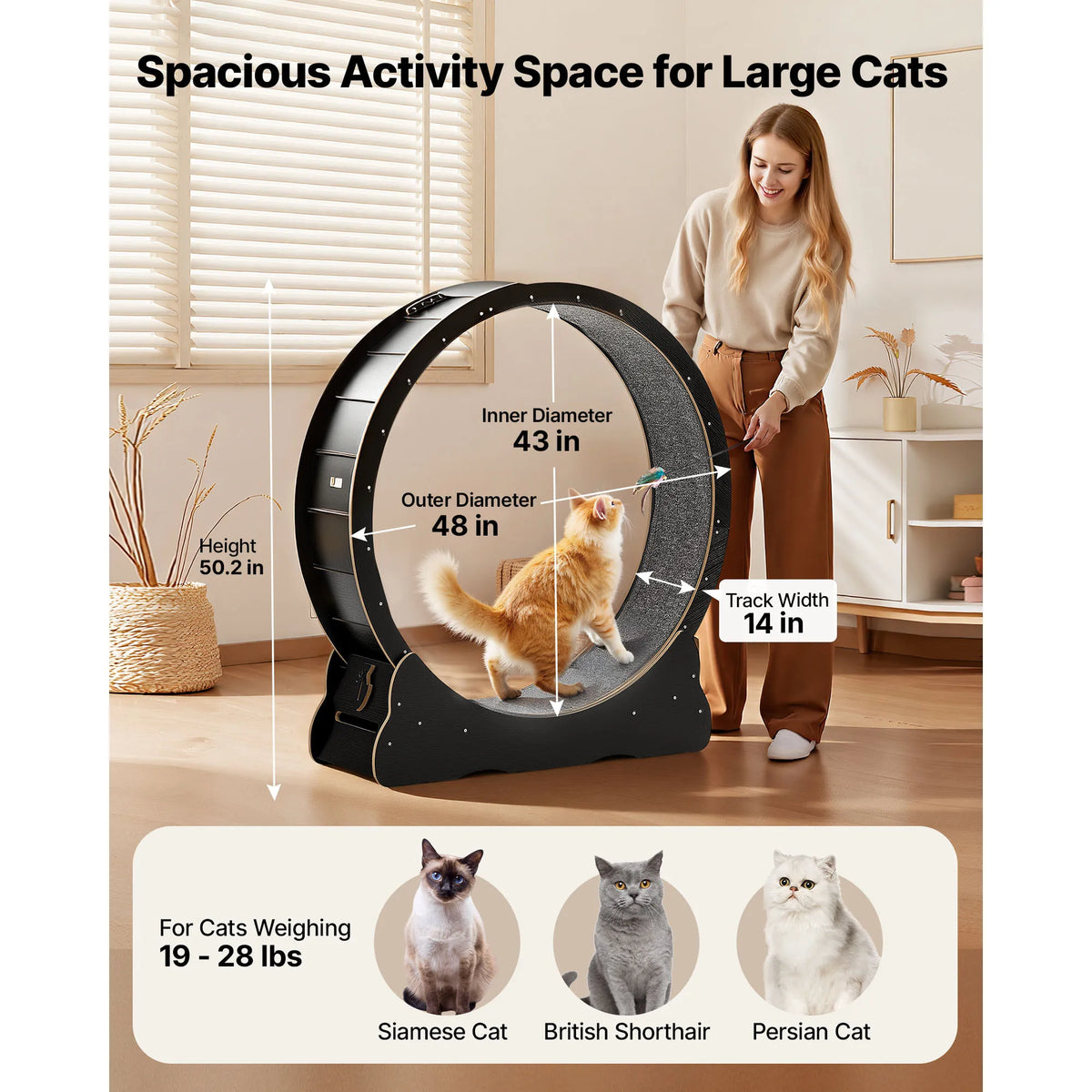Nordora Cat Exercise Wheel Wooden Running Wheel For Indoor Cats
