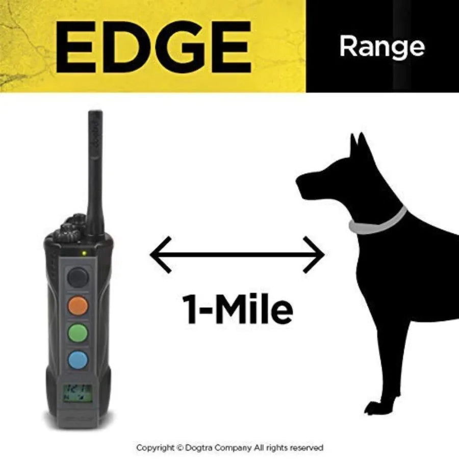Outdoor Training Waterproof Nylon Collar With LED Receiver And 4 Dog Control