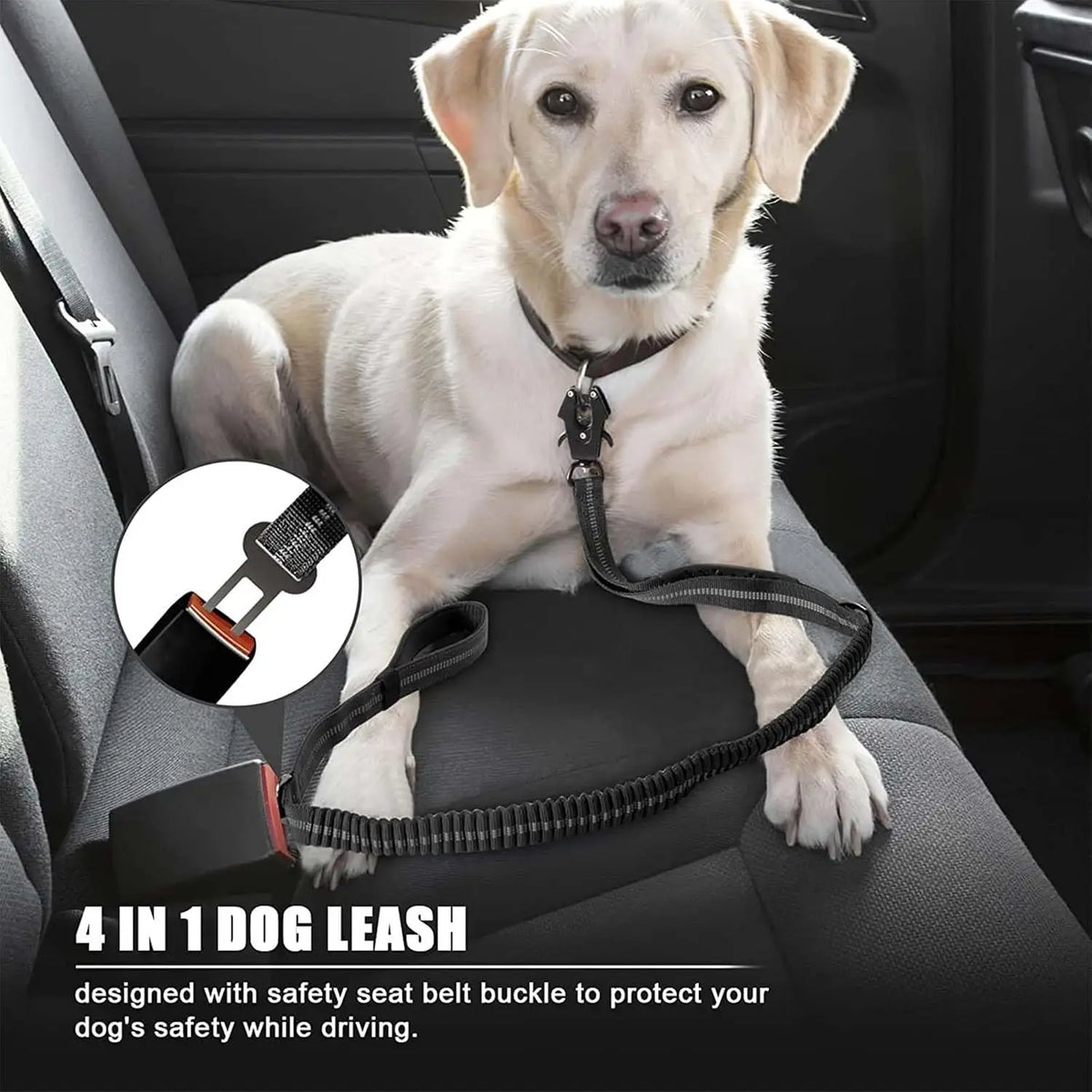Reflective Shock Absorbing Pet Leash With Car Seatbelt No Pull