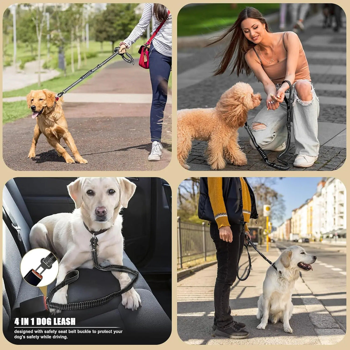 Reflective Shock Absorbing Pet Leash With Car Seatbelt No Pull