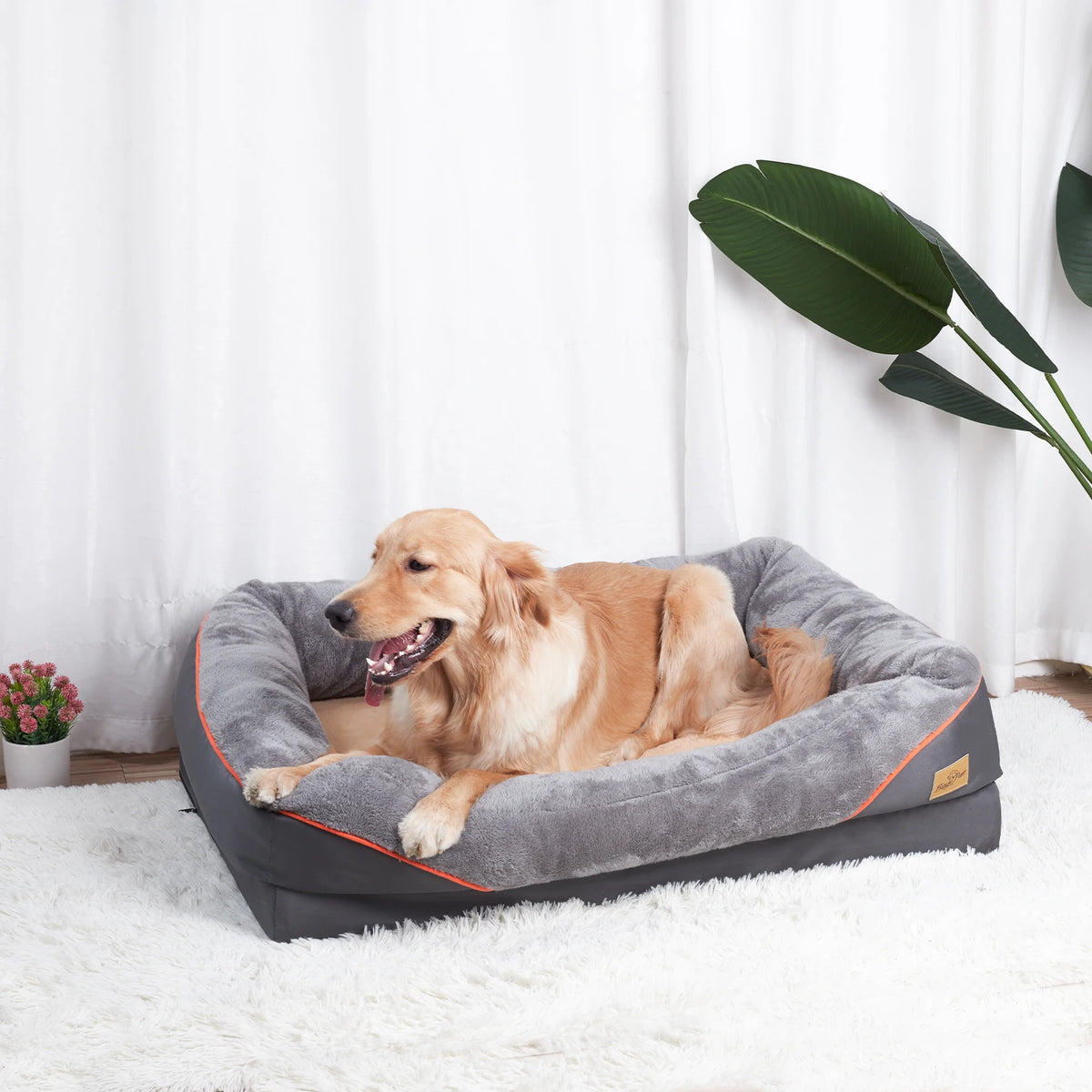 BINGOPAW Anti Allergy Dog Bed With Removable Washable Cover Waterproof
