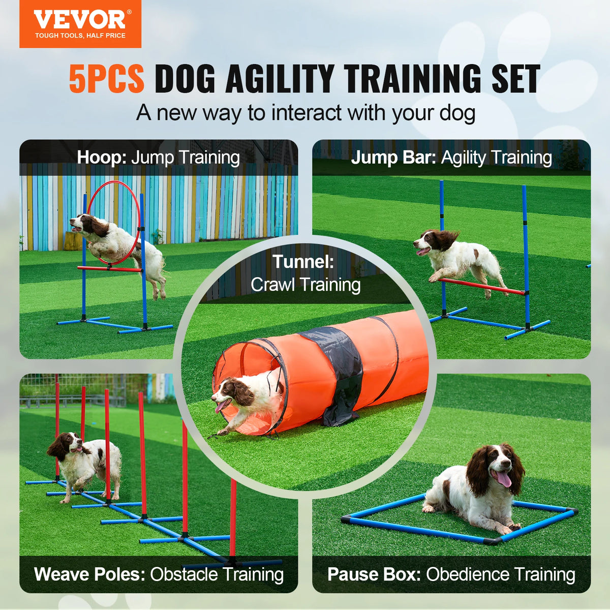 Dog Agility Training Equipment Set With Adjustable Hurdles