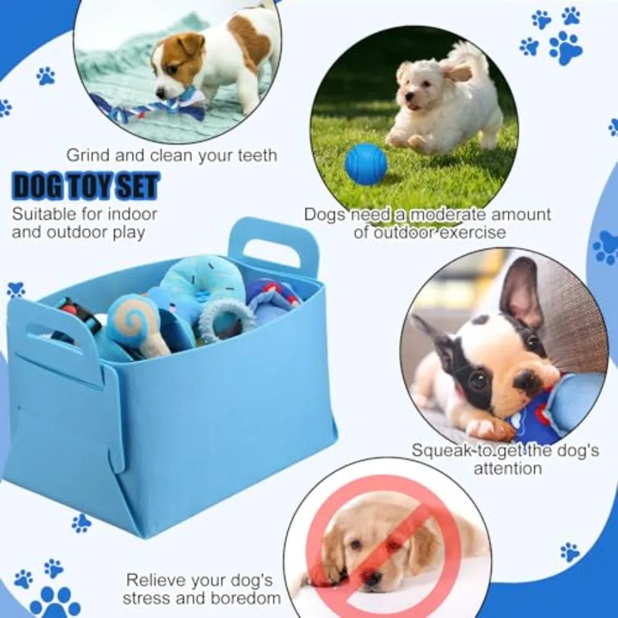 YAO HUI HUANG Puppy Essentials Starter Kit For Small Dogs