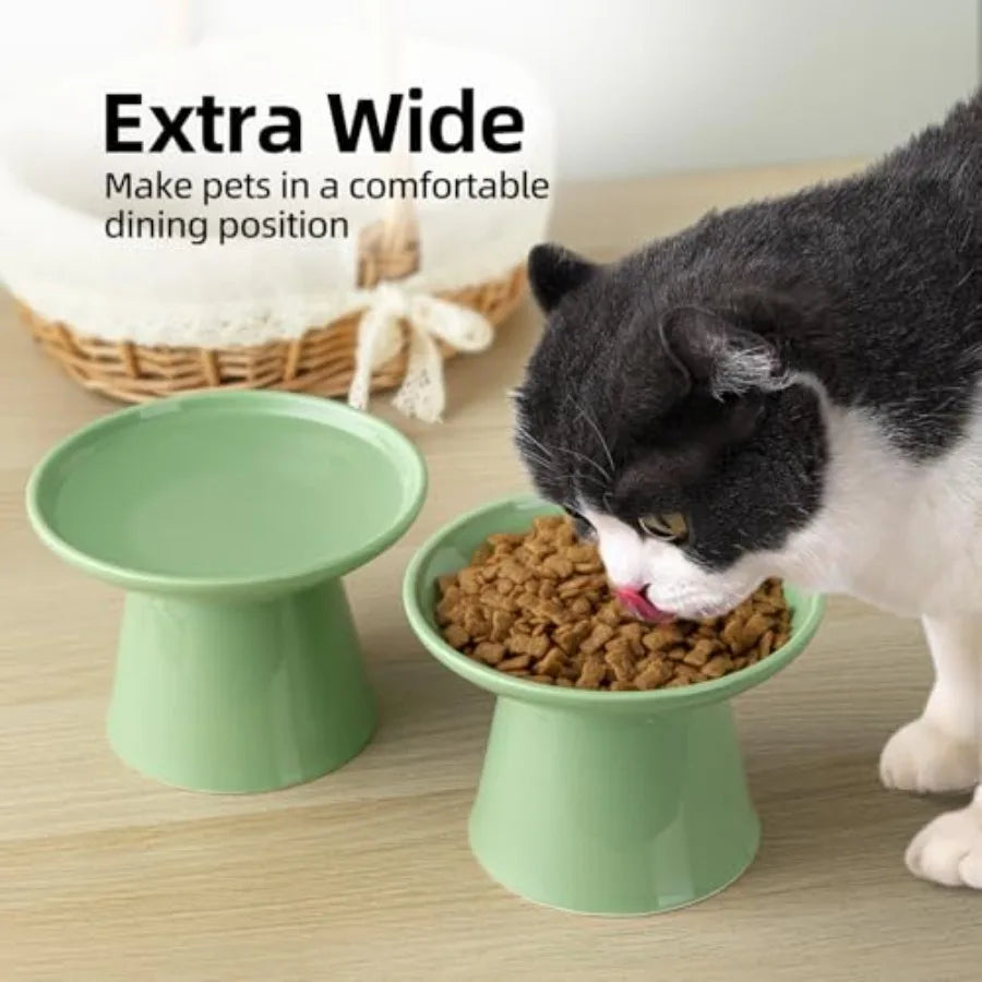 Raised Ceramic Cat Bowls Set For Pets Food And Water