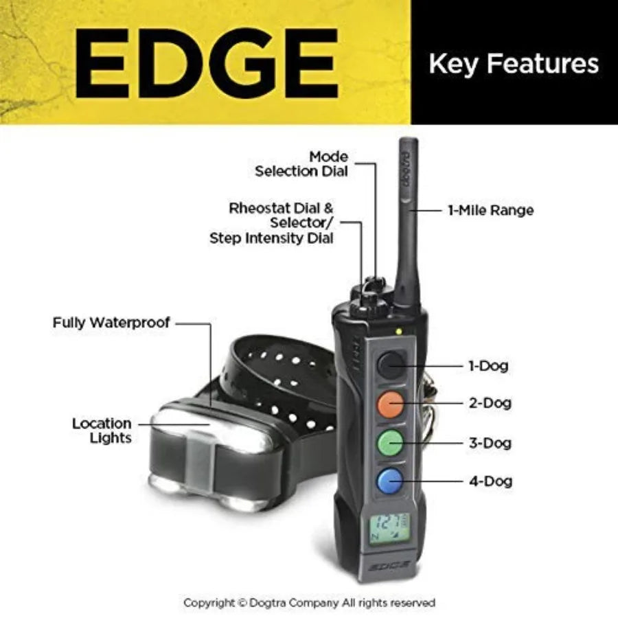 Outdoor Training Waterproof Nylon Collar With LED Receiver And 4 Dog Control