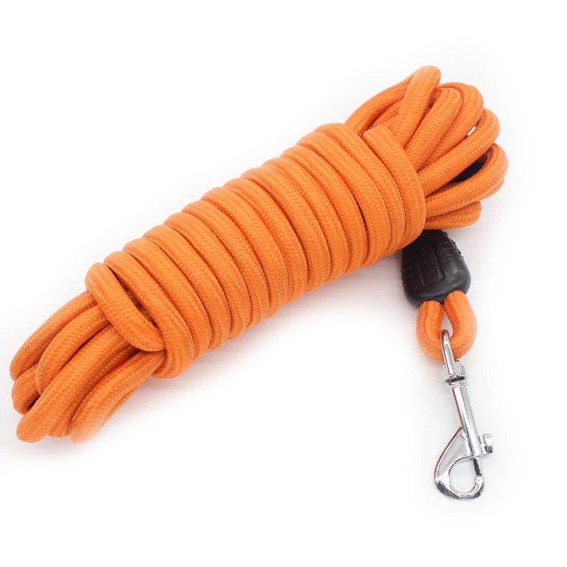Heavy Duty Nylon Dog Leash For Training And Recall